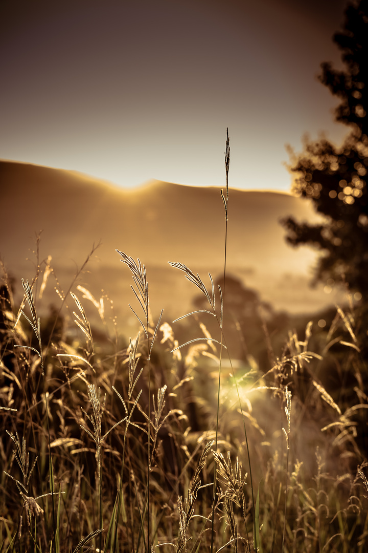 Goldener Sonnenuntergang