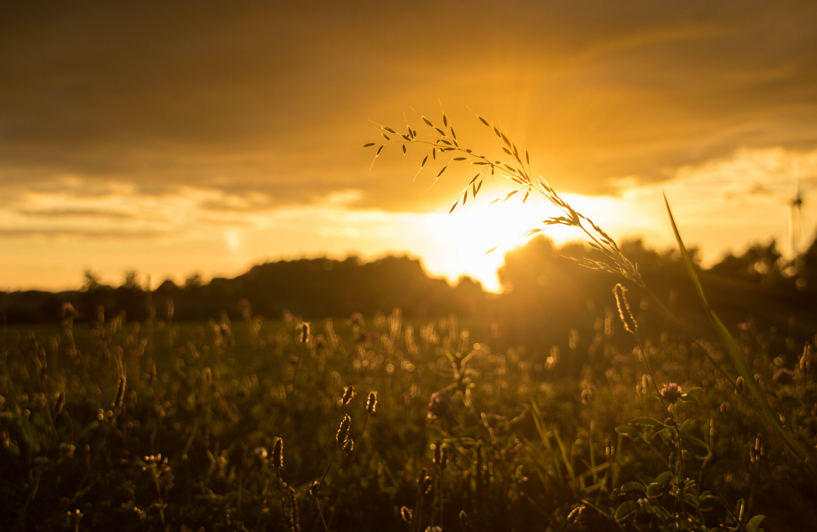 Goldener Sonnenuntergang