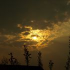 Goldener Sonnenuntergang