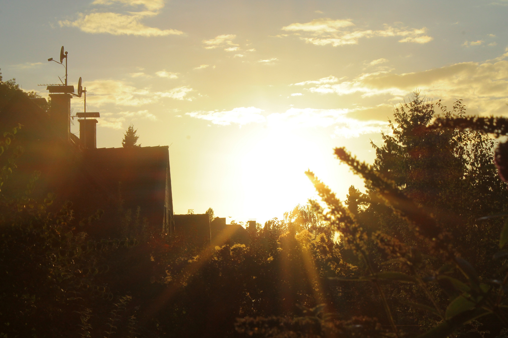 Goldener Sonnenuntergang