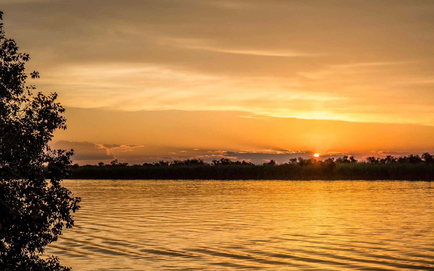 Goldener Sonnenuntergang am Chobe