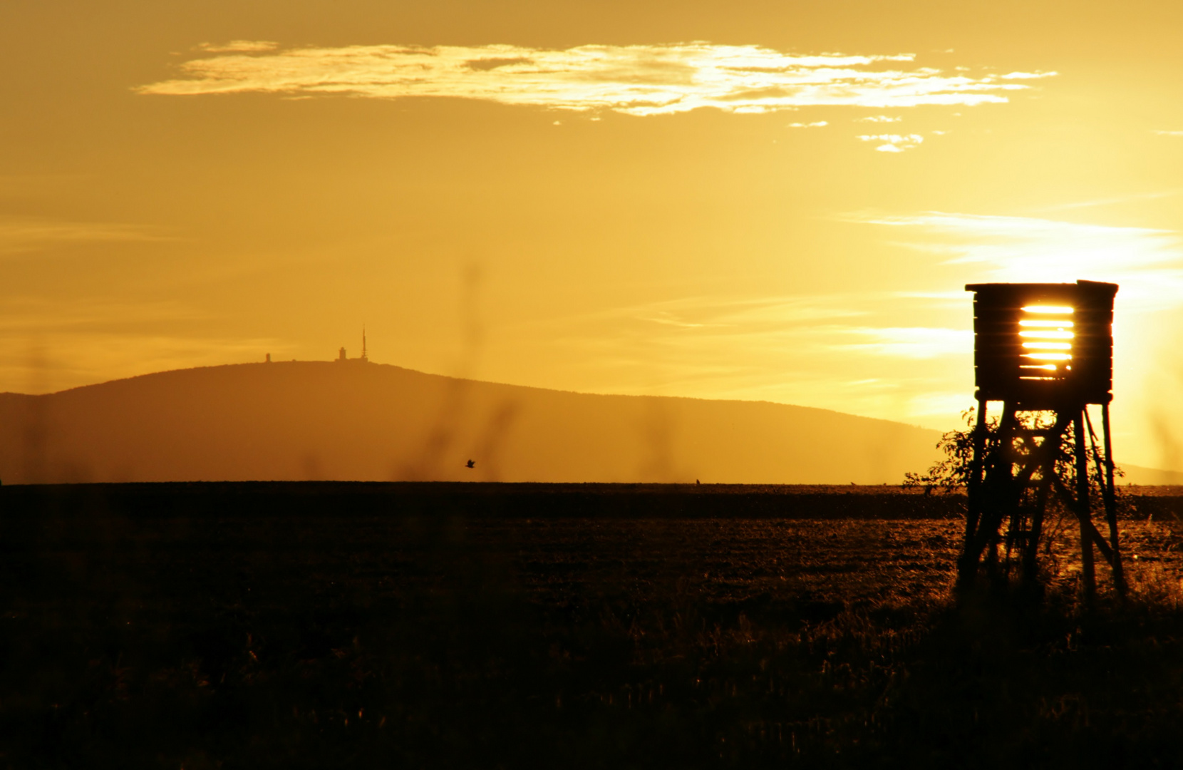 goldener Sonnenuntergang