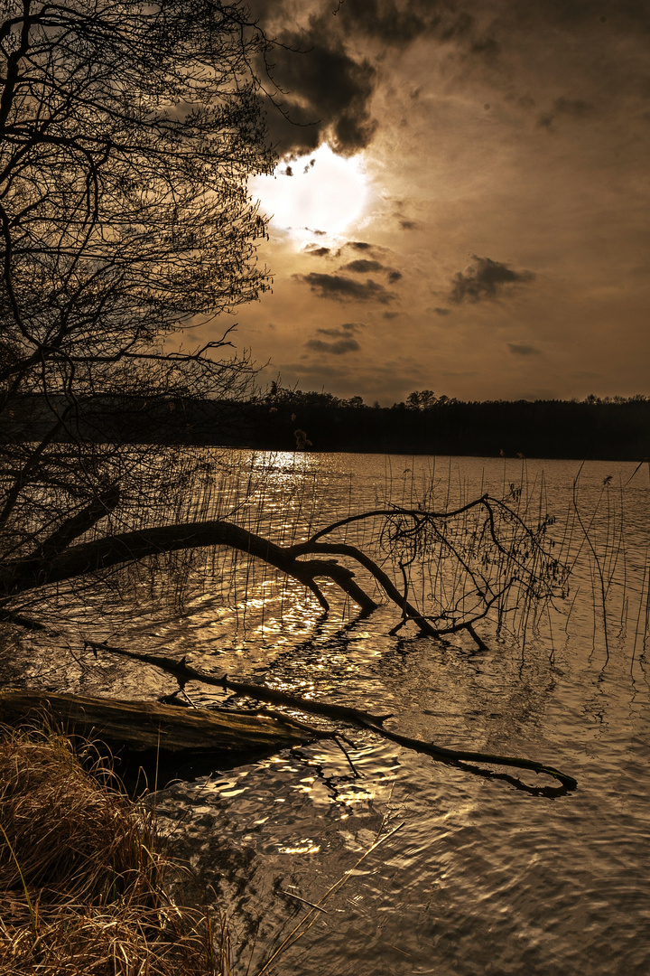 Goldener Sonnenuntergang