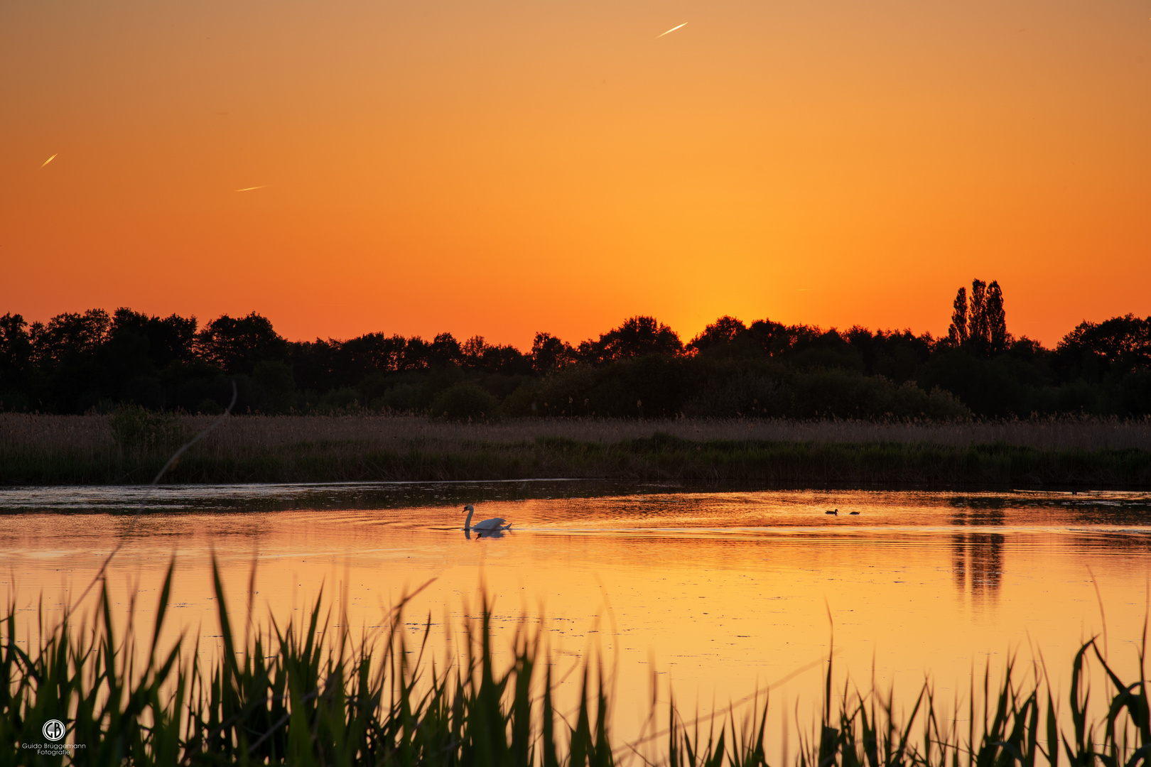 goldener Sonnenuntergang 