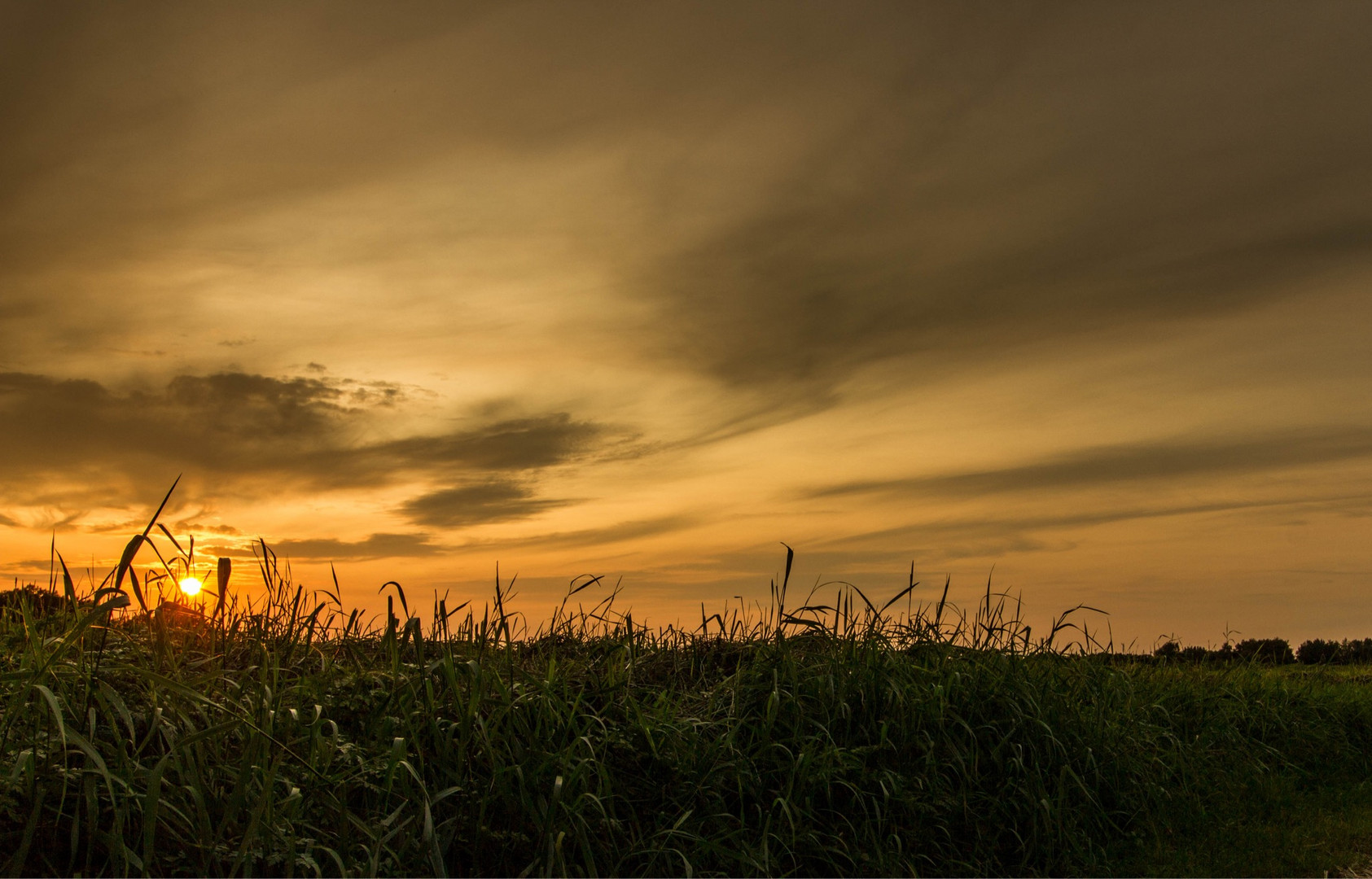 Goldener Sonnenuntergang