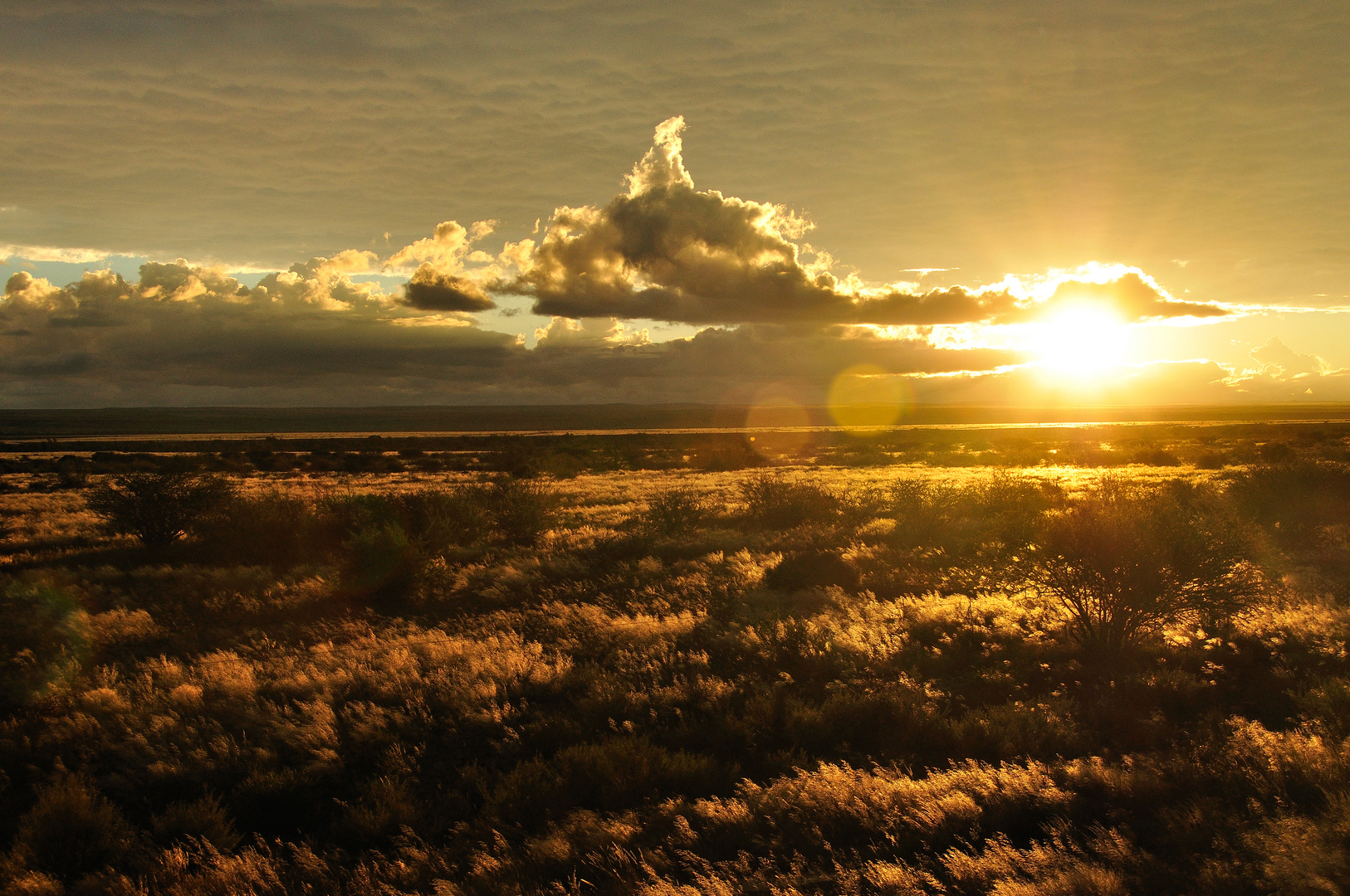 Goldener Sonnenuntergang in Afrika