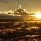 Goldener Sonnenuntergang in Afrika