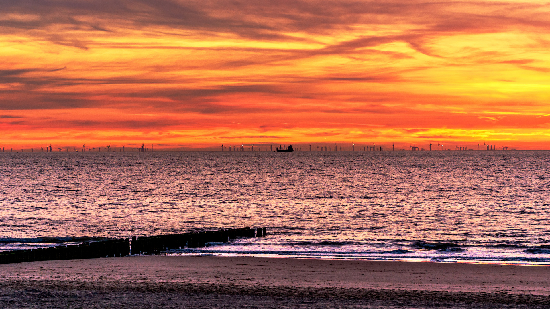 Goldener Sonnenuntergang mit Frachtschiff und Windrädern vor der Küste von Cadzand (Holland).