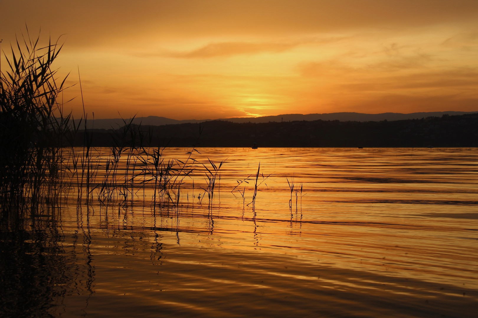 goldener Sonnenuntergang Murtensee