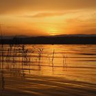 goldener Sonnenuntergang Murtensee