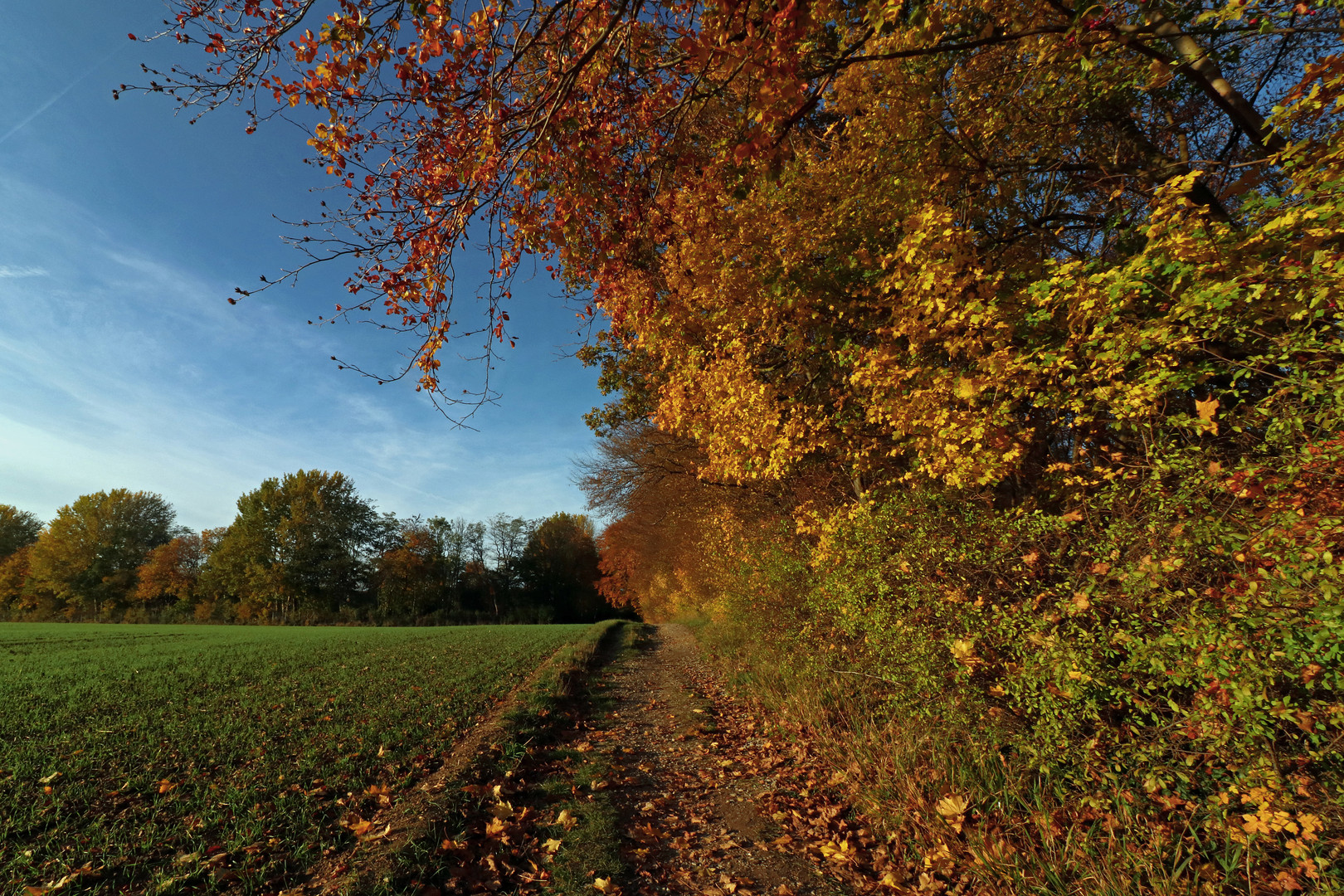 Goldener Spätherbst