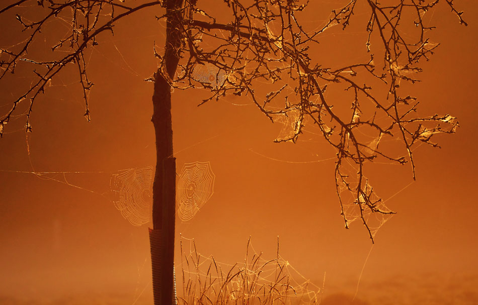 Goldener Spätsommer