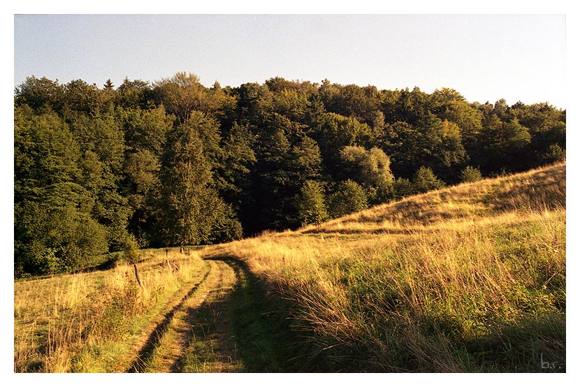 goldener Spätsommer