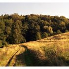 goldener Spätsommer