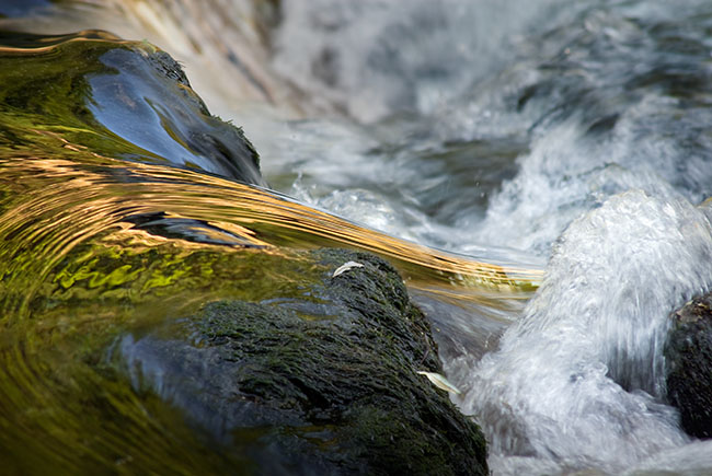 Goldener Strahl