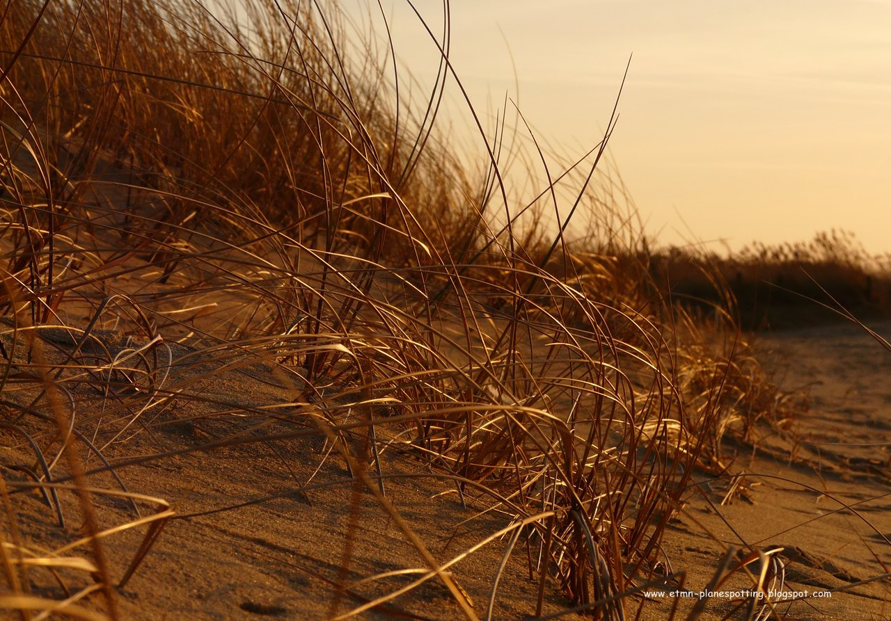 Goldener Strand