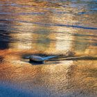 Goldener Strand - Cala Llombards