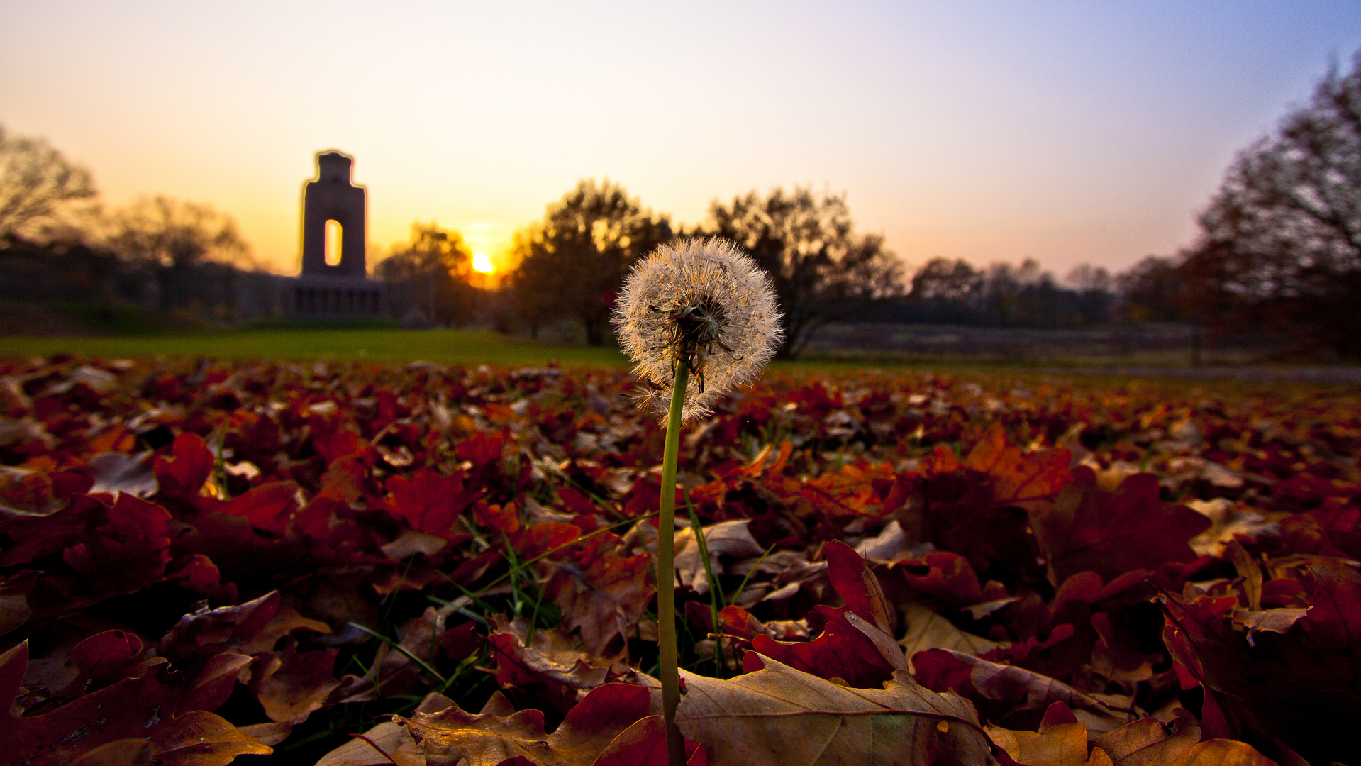 Goldener Stunde in Burg