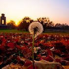 Goldener Stunde in Burg