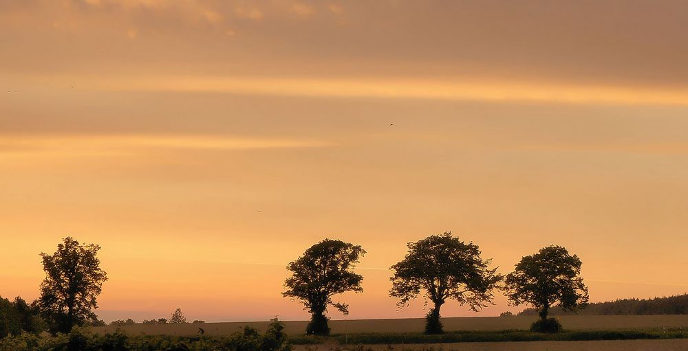 goldener Tagesausklang