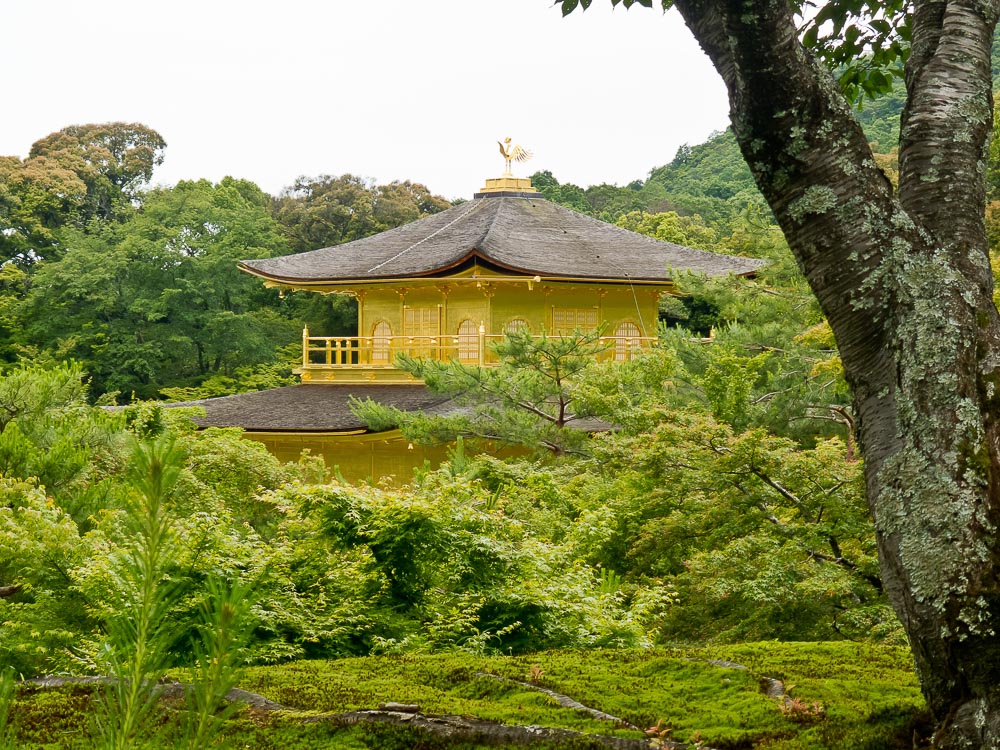 Goldener Tempel 2