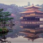 Goldener Tempel im Regen