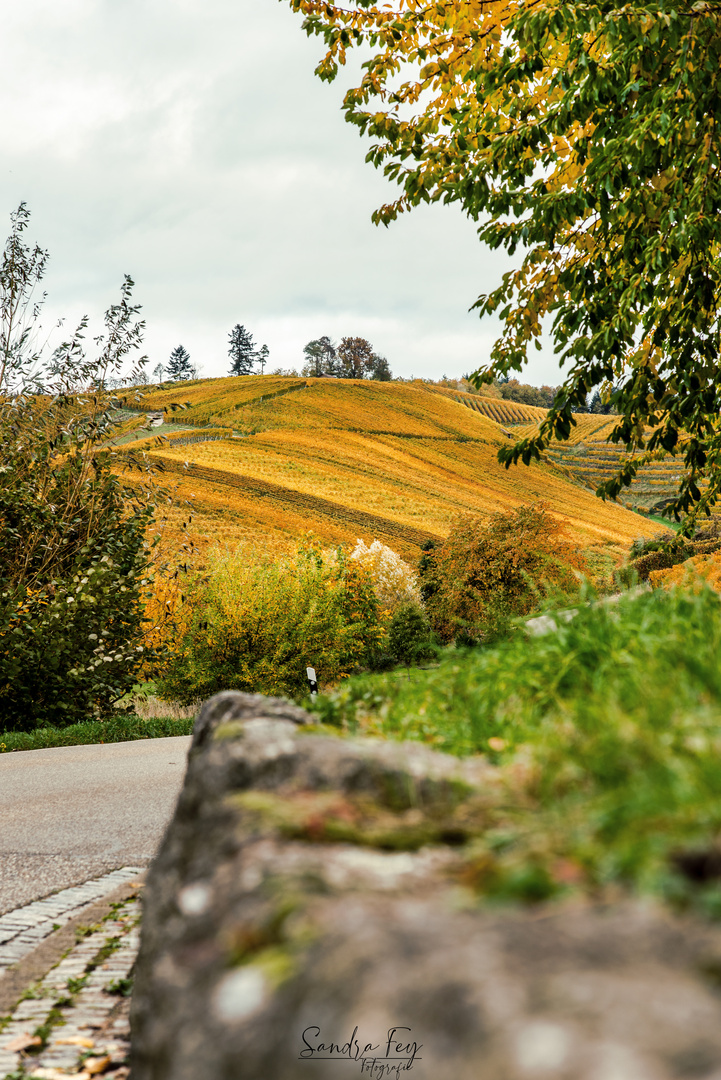 Goldener Teppich Foto & Bild | deutschland, europe, baden ...
