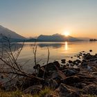 goldener Thunersee