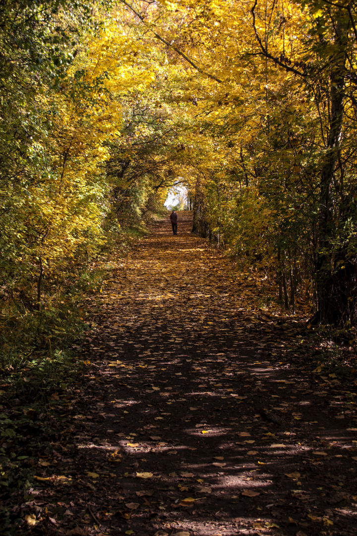 Goldener Tunnel