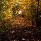 Goldener Tunnel