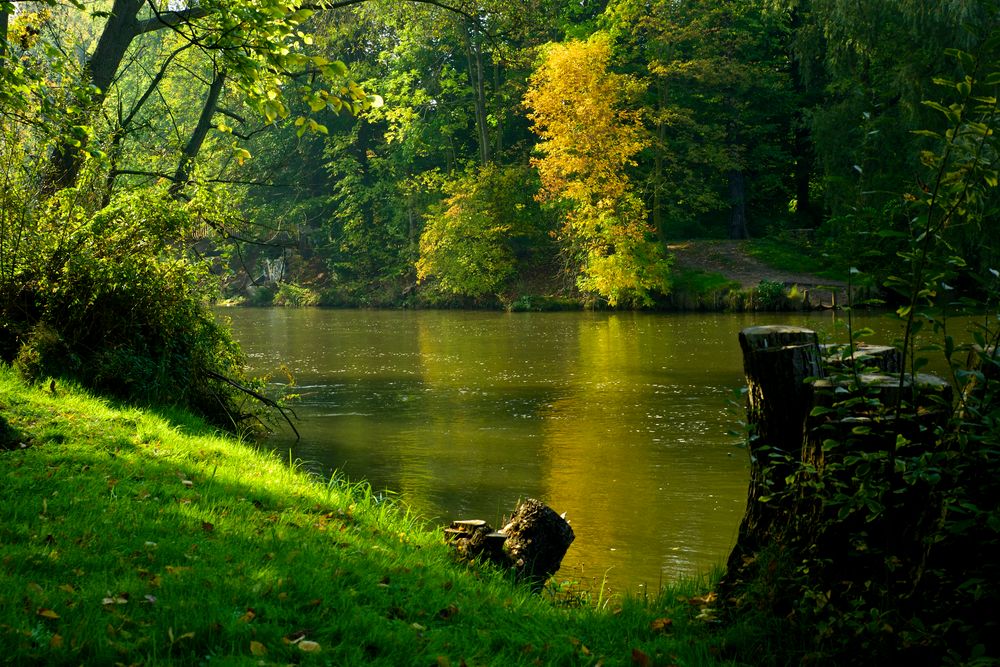 Goldener Übergang