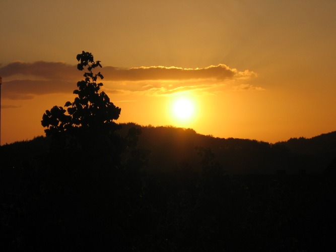 Goldener Untergang von Richard Musiol