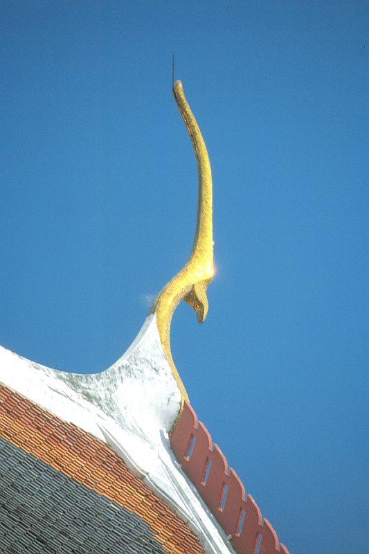 Goldener Vogel