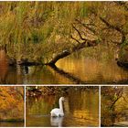 Goldener Volksgarten