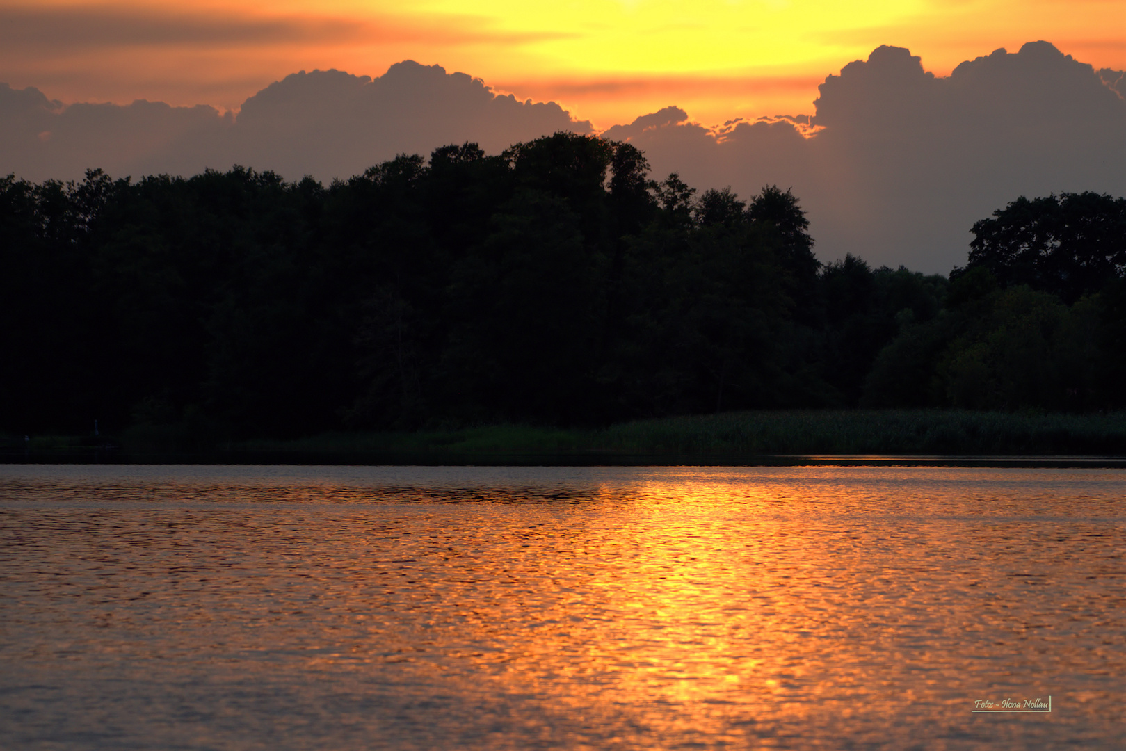 Goldener Wasserspiegel