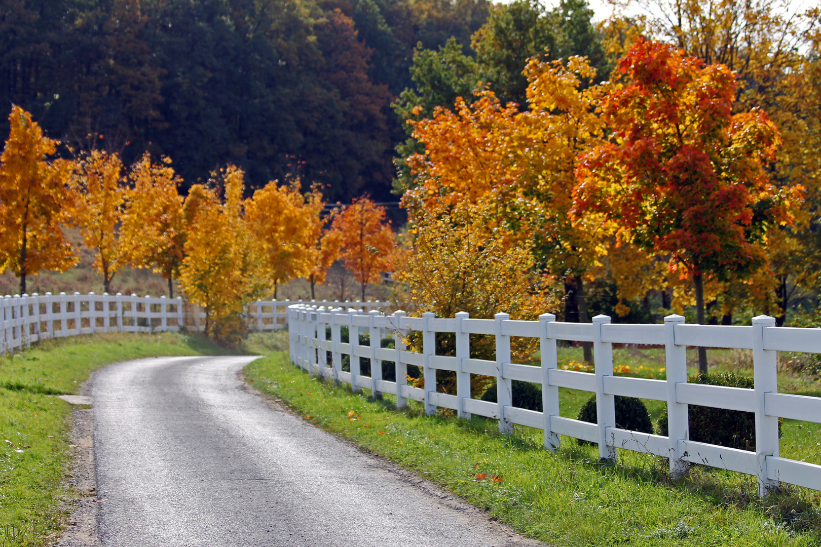 Goldener Weg