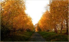 Goldener Weg