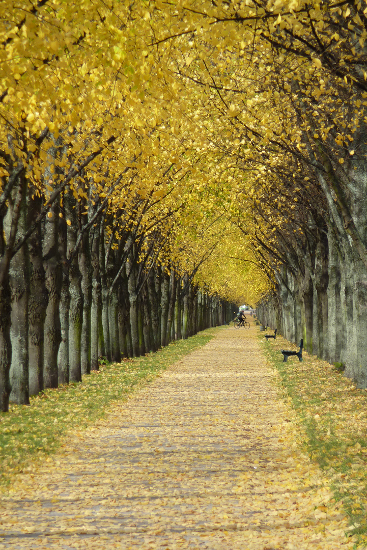 Goldener Weg