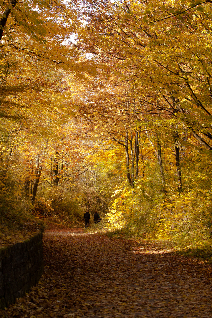 Goldener Weg