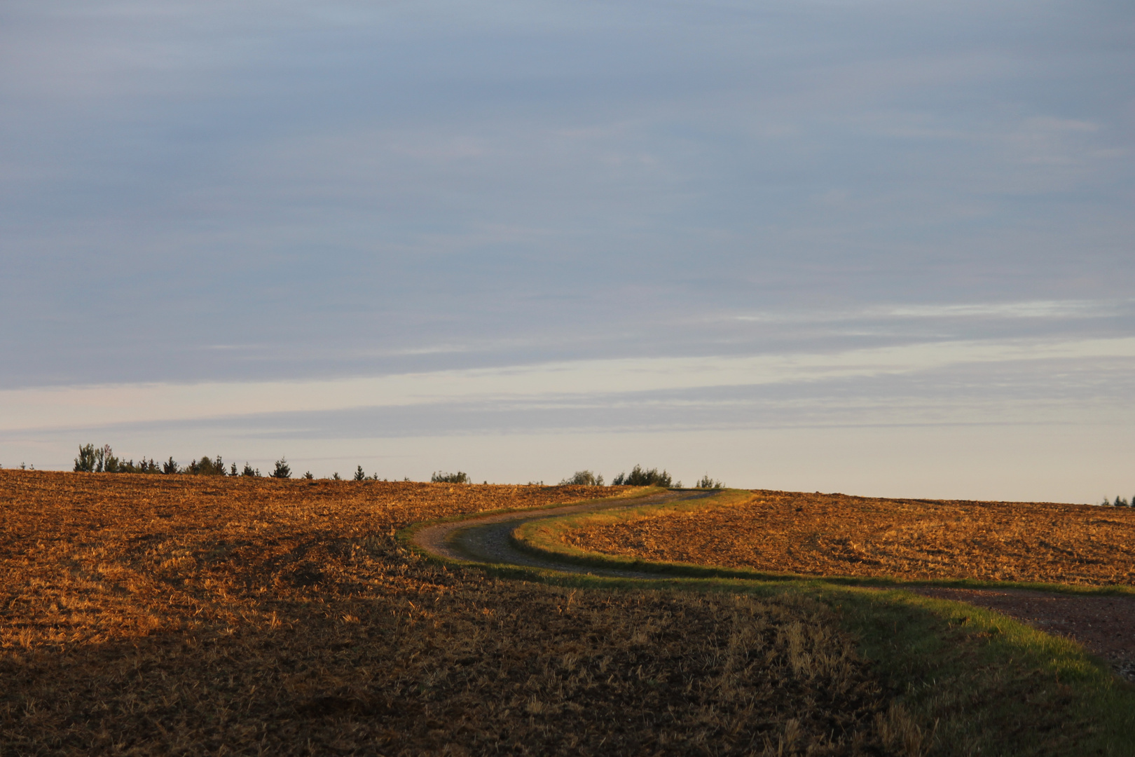 goldener Weg