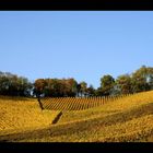 goldener Wein