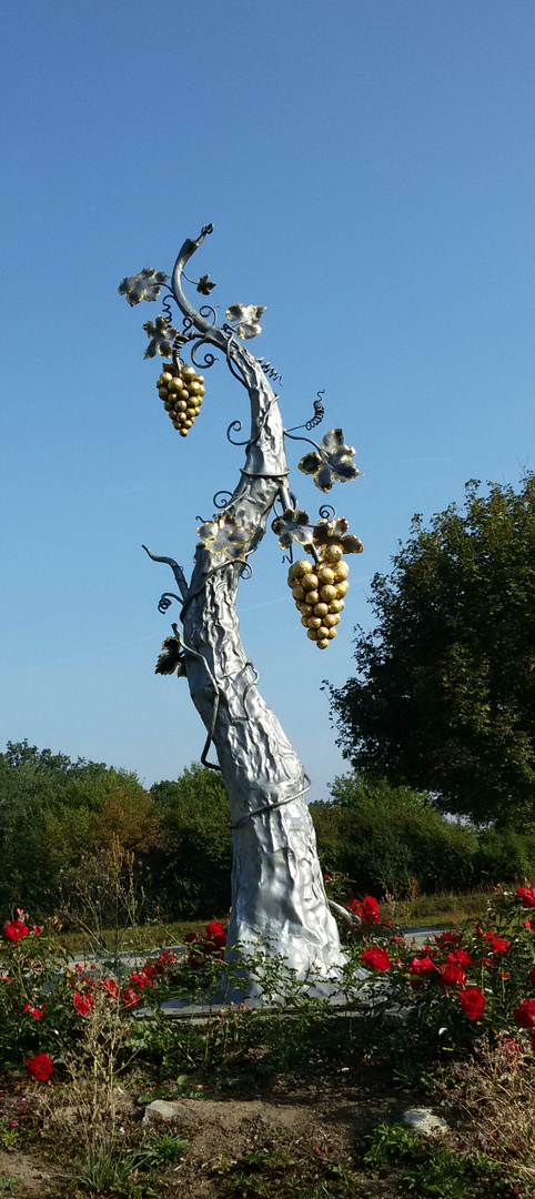 Goldener Wein aus Franken