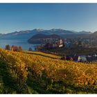 Goldener Wein aus Spiez