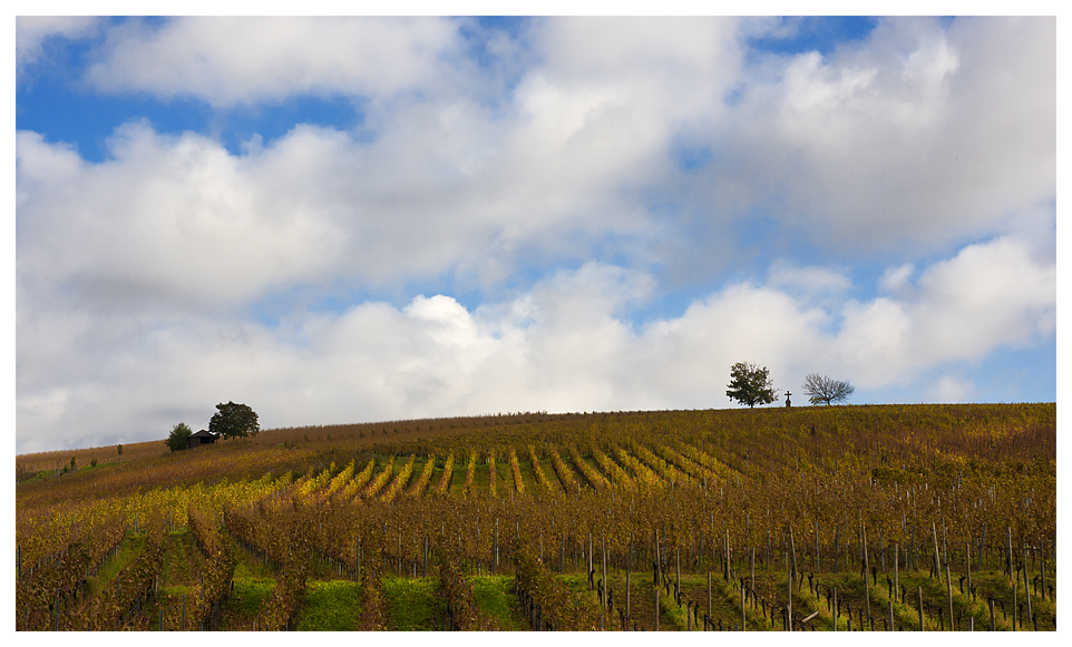 Goldener Weinherbst