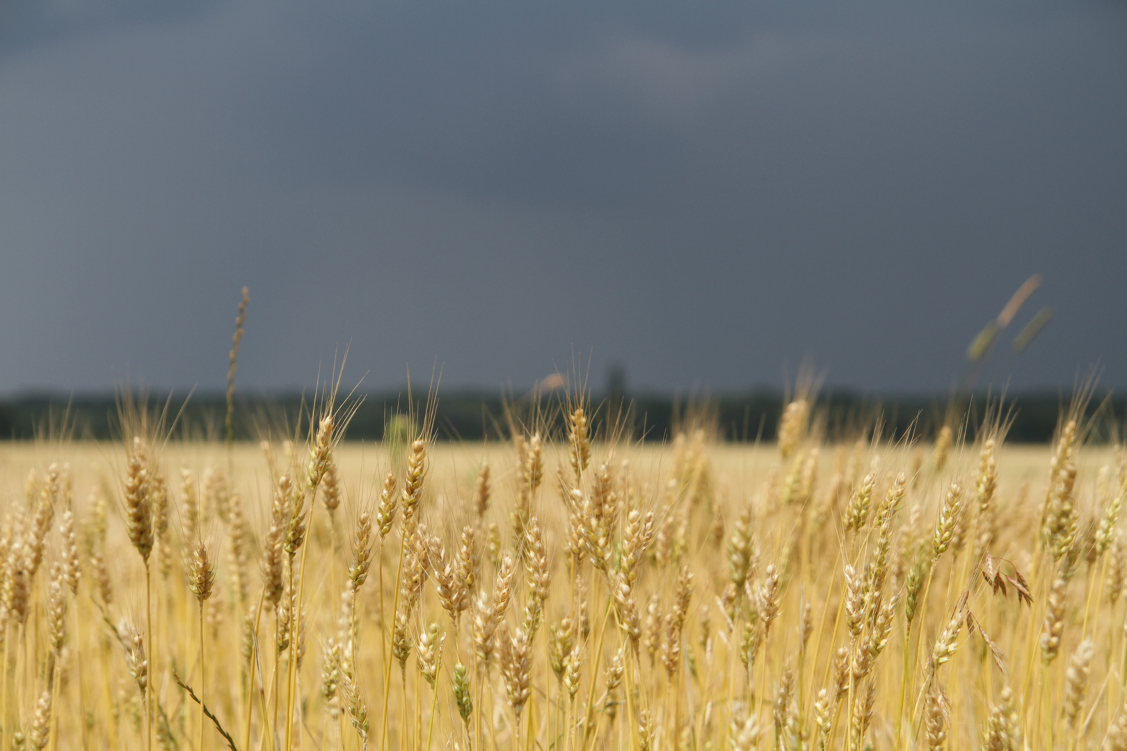 Goldener Weltuntergang