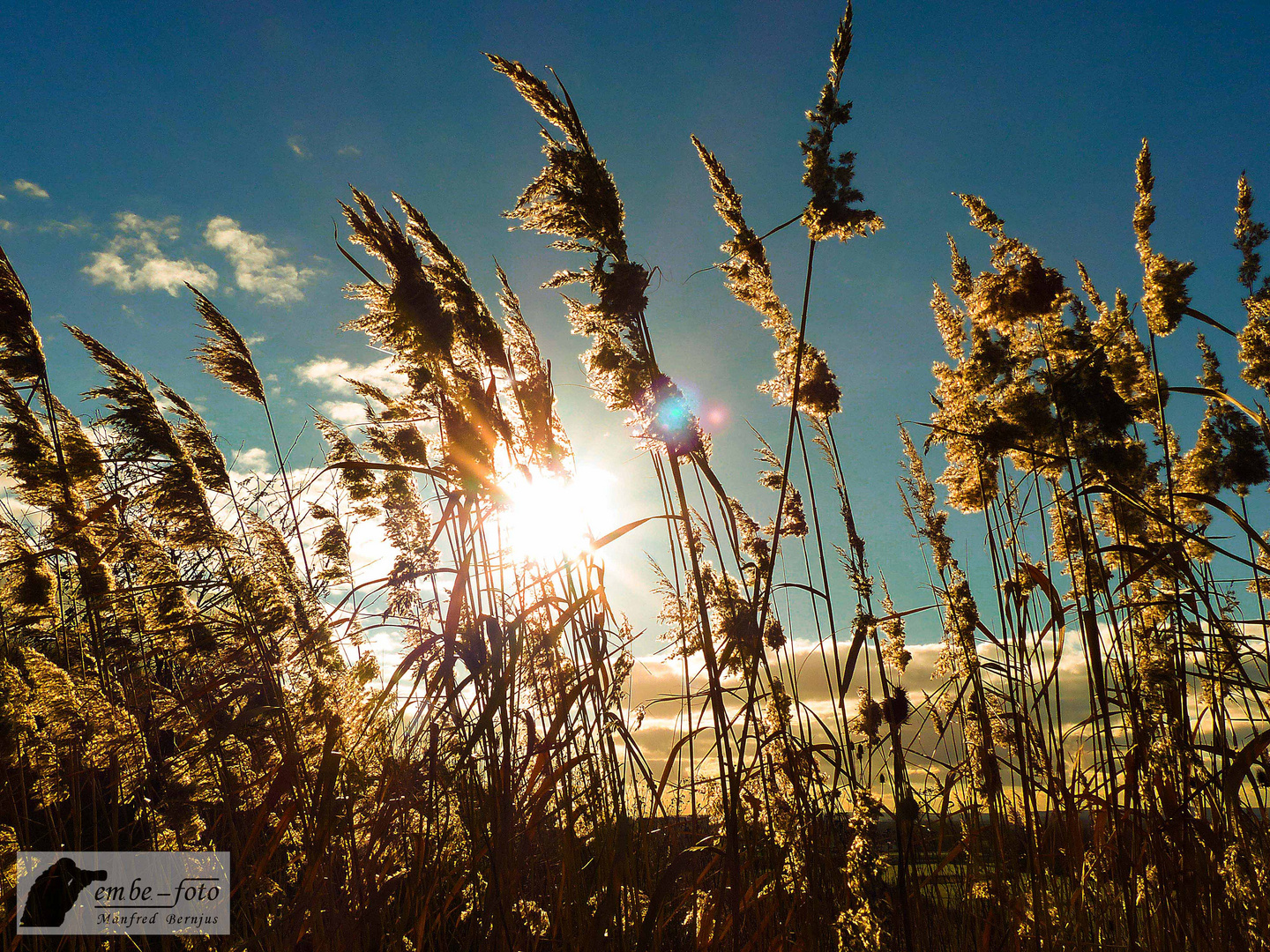 Goldener Winter