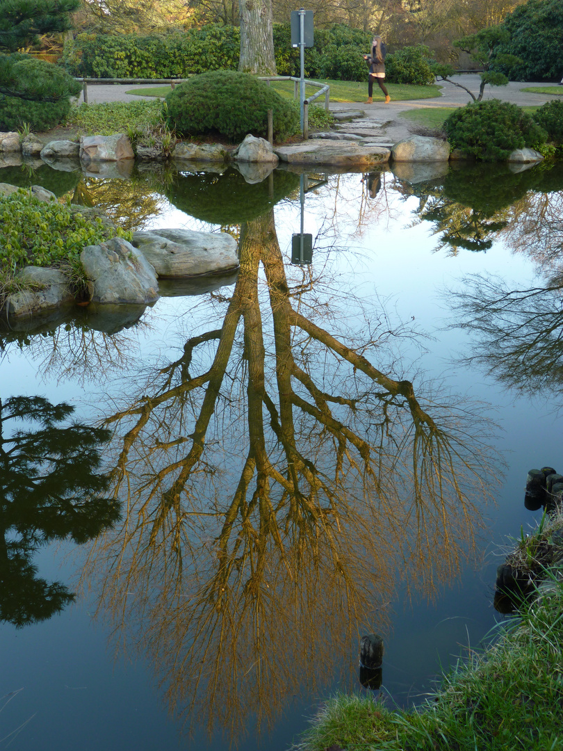 Goldener Winterbaum