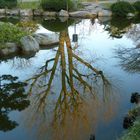 Goldener Winterbaum