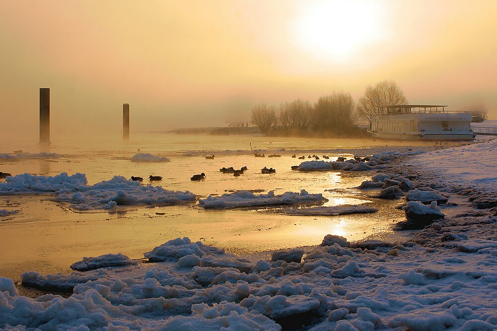 Goldener Wintermorgen