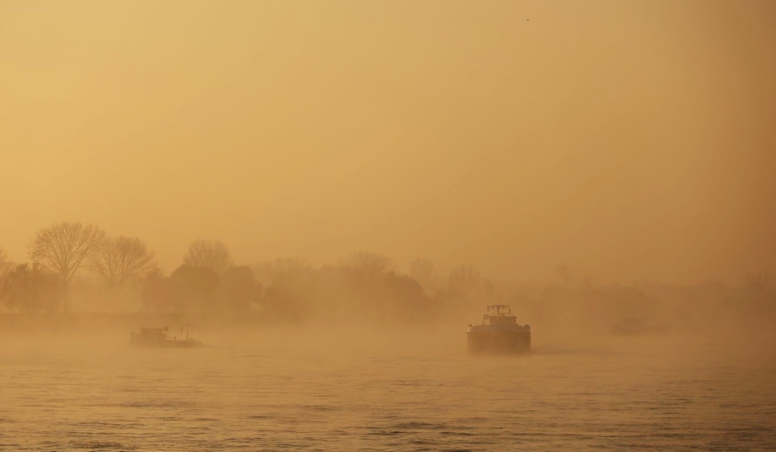 Goldener Wintermorgen am Rhein